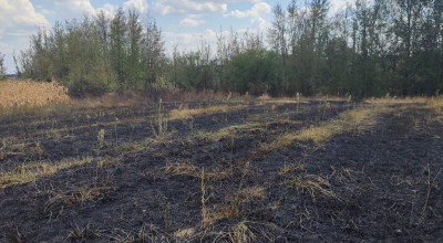 Incendiu PUTERNIC în Argeș!