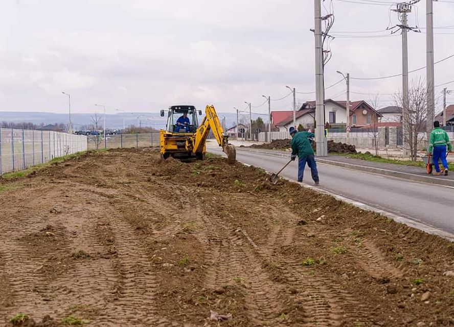 Lucrări privind amenajarea spaţiului verde pe o stradă din Mioveni