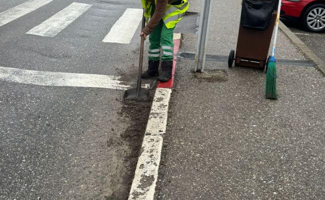 Angajații Servicii Edilitare pentru Comunitate Mioveni lucrează pentru colectarea frunzelor și a resturilor vegetale!