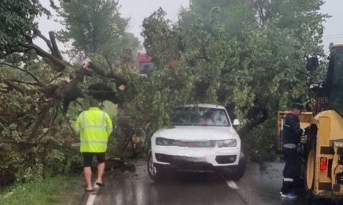 ACUM! Furtuna face PRĂPĂD în Argeș! Un copac a CĂZUT peste o MAȘINĂ!