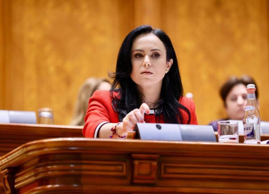 Ministrul Simona Bucura Oprescu: "Noua lege a pensiilor a fost adoptată"