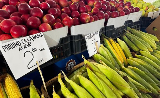 A început o nouă ediție a Festivalului "Toamna Piteșteană"
