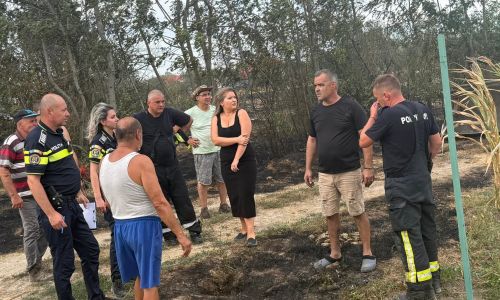 Incendiu de proporții în comuna Lunca Corbului! Prefectul Ioana Făcăleață, mesaj ferm!