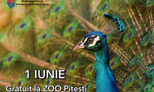 Intrare gratuită la Grădina Zoologică din Pitești, de 1 iunie!