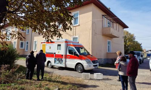 Campanie de sterilizare a câinilor și pisicilor în comuna Bradu