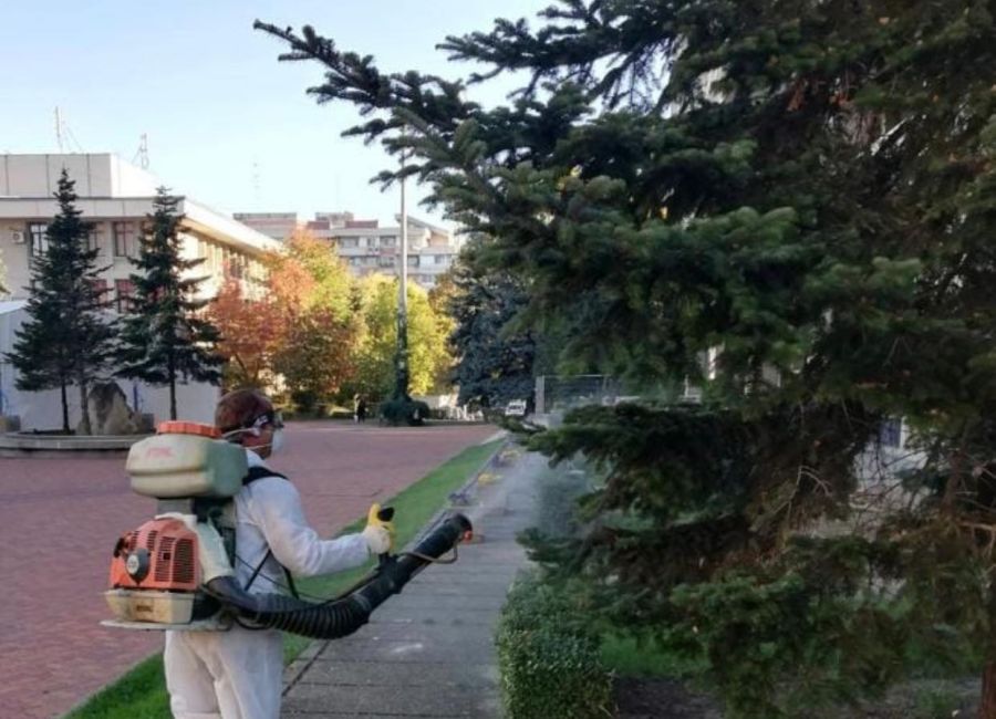 Tratamente fitosanitare în Piteşti