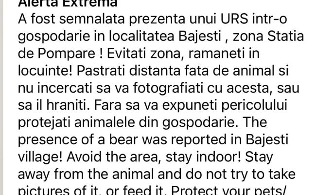 Un urs a pătruns într-o gospodărie din Argeş! A fost emis mesaj RO-ALERT!