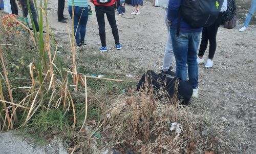 Panică în Argeș! Călătorii unui TREN au fost EVACUAȚI