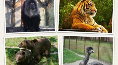 Zoo Pitești își așteaptă vizitatorii, în mini-vacanța de Sfânta Maria Mare!