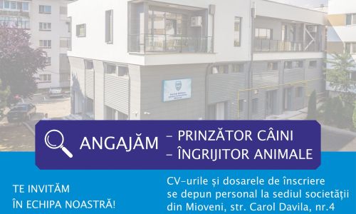 S.Ed.C Mioveni angajează!