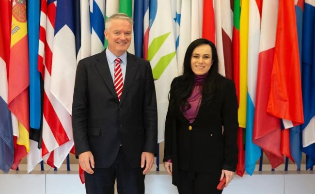 Ministrul Simona Bucura Oprescu, reuniune bilaterală cu secretarul general OCDE