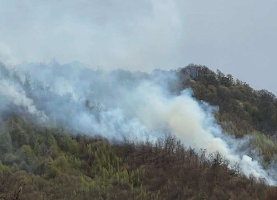 ACUM! INCENDIU URIAȘ în Argeș! ARDE o PĂDURE