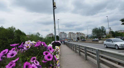 Primarul Gentea, anunţul momentului! Podul peste râul Argeş, zonă securizată video