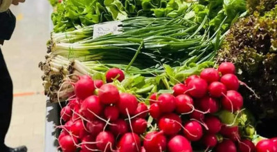 Programul piețelor agroalimentare din Pitești,