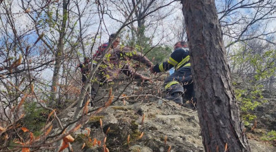 Incendiul de la Cetățeni a fost LICHIDAT! Totul a pornit de la o țigară