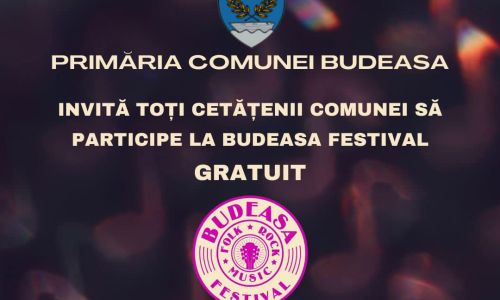 BUDEASA FESTIVAL! Vama, Cargo, Ducu Bertzi...
