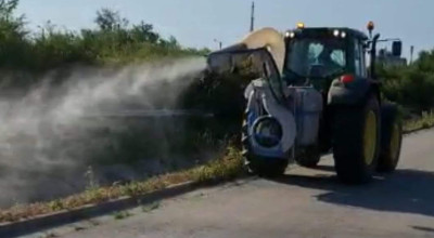 Acțiune de dezinsecție în comuna Bradu