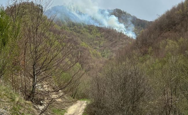ACUM! INCENDIU URIAȘ în Argeș! ARDE o PĂDURE