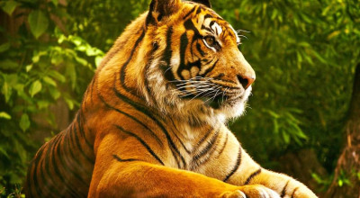Grădină Zoologică Pitești este deschisă în perioada sărbătorilor pascale
