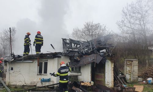 INCENDIU în Argeș! O femeie a fost transportată la spital