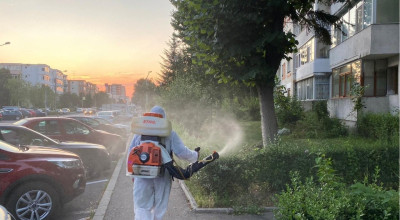 Stropiri contra dăunătorilor plantelor, în perioada 17.06-27.06.2024, la Pitești!