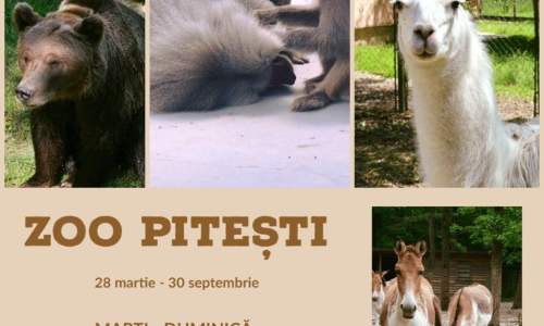Grădina Zoologică din Pitești trece la programul de vară!