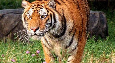 Zoo Pitești este deschisă spre vizitare, în mini-vacanța de 1 Decembrie!