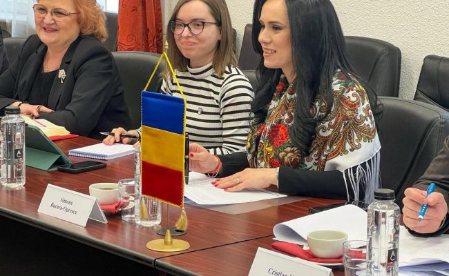 Ministrul Simona Bucura-Oprescu, reuniune bilaterală cu vicepremierul Republicii Cehe