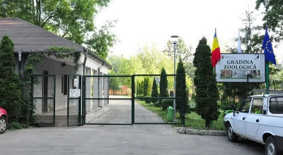 TRAGEDIE la Zoo Pitești! Îngrijitor OMORÂT de un tigru