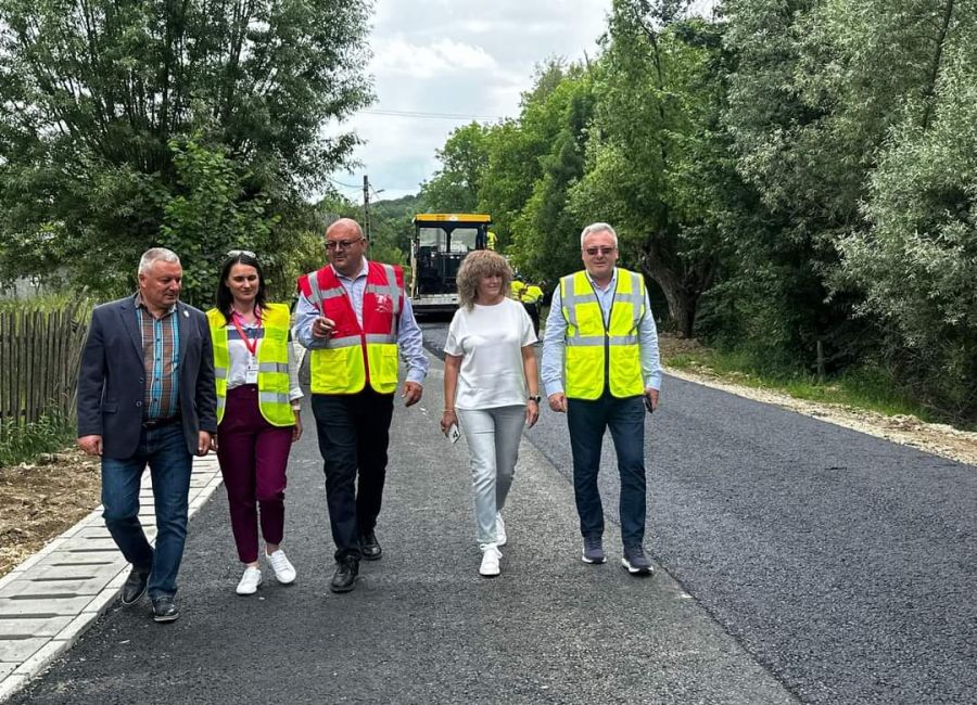 Ion Mînzînă: "Modernizăm și Dj 738 Mihăești - Poienarii de Muscel"