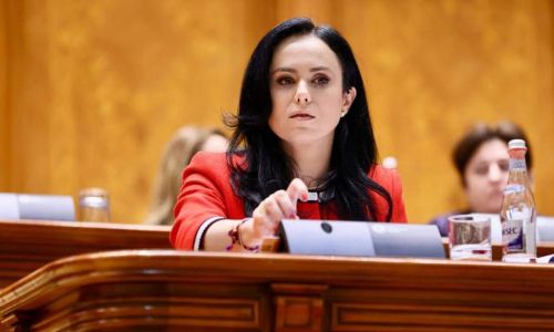 Ministrul Simona Bucura Oprescu: "Noua lege a pensiilor a fost adoptată"