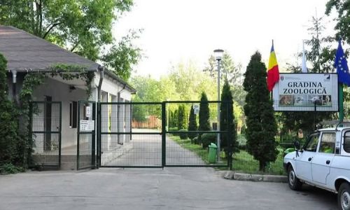 TRAGEDIE la Zoo Pitești! Îngrijitor OMORÂT de un tigru