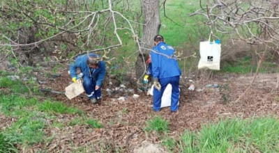 Angajații ABAAV au adunat 500 de kilograme de gunoaie din zona Podul Viilor