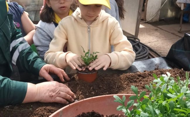 În 'Săptămâna Verde', elevii piteșteni învață cum se produc florile plantate în orașul lor