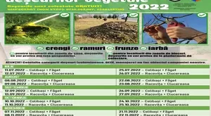 Prima campanie de colectare gratuită a deșeurilor vegetale