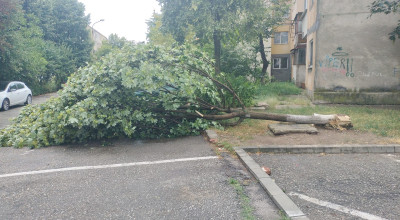 ACUM! Furtuna a făcut PRĂPĂD la Mioveni!