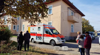 Campanie de sterilizare a câinilor și pisicilor în comuna Bradu