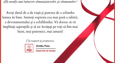 Felicitare Ovidiu Puiu, Senator de Argeș