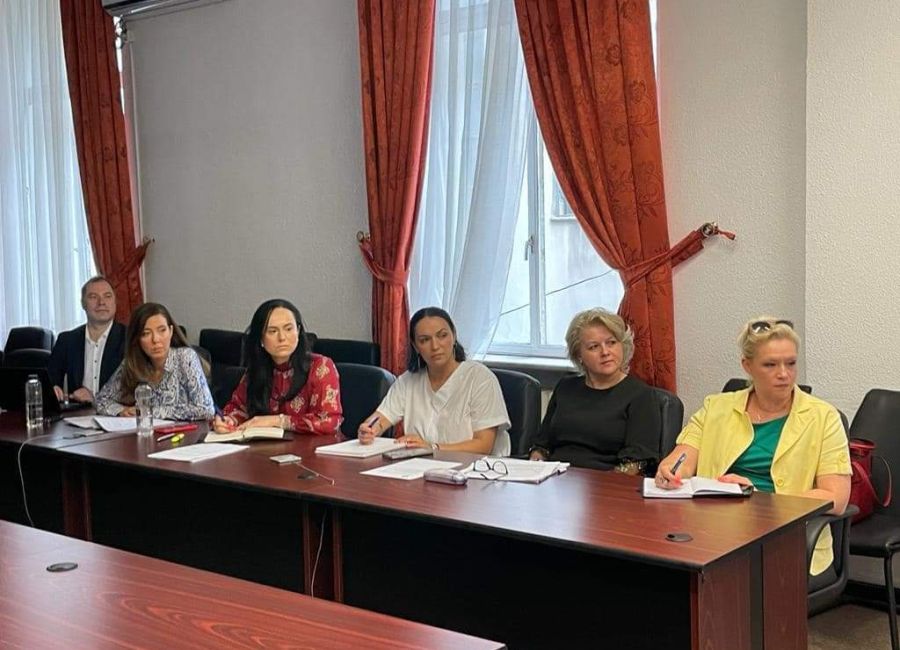 Simona Bucura Oprescu, întâlnire de lucru cu directorul general al SG Recover
