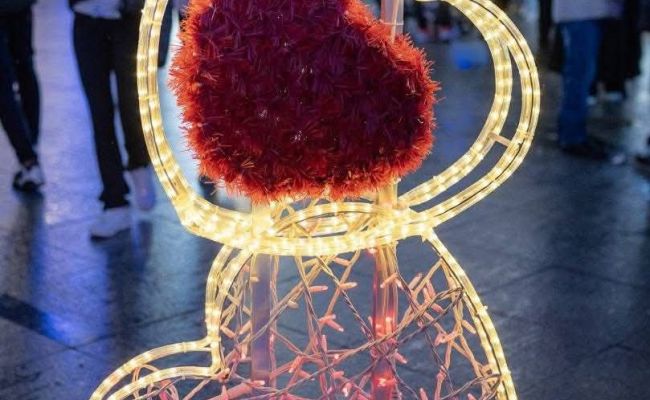 Prefectul Ioana Făcăleață a luat parte la aprinderea iluminatului festiv la Mioveni!