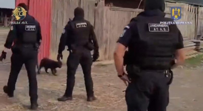 VIDEO! Ferma GROAZEI în Argeş! Descoperire ŞOCANTĂ