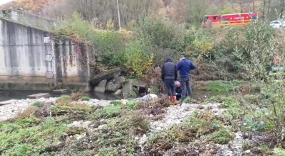 ACUM! Femeie găsită MOARTĂ în Argeș!