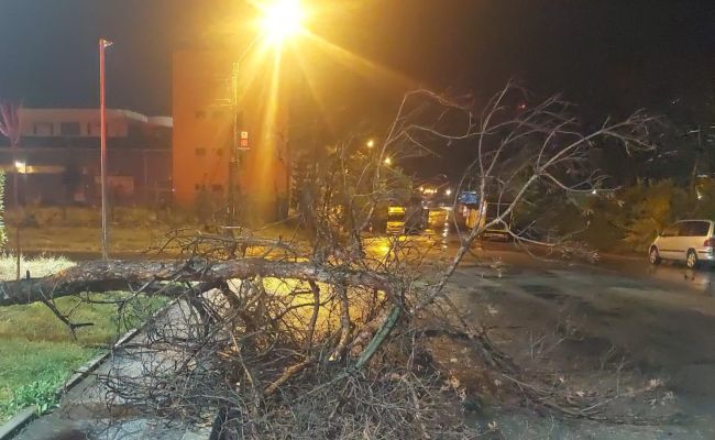Primele probleme în Argeș din pricina furtunii!