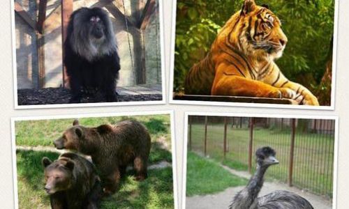 Zoo Pitești își așteaptă vizitatorii, în mini-vacanța de Sfânta Maria Mare!