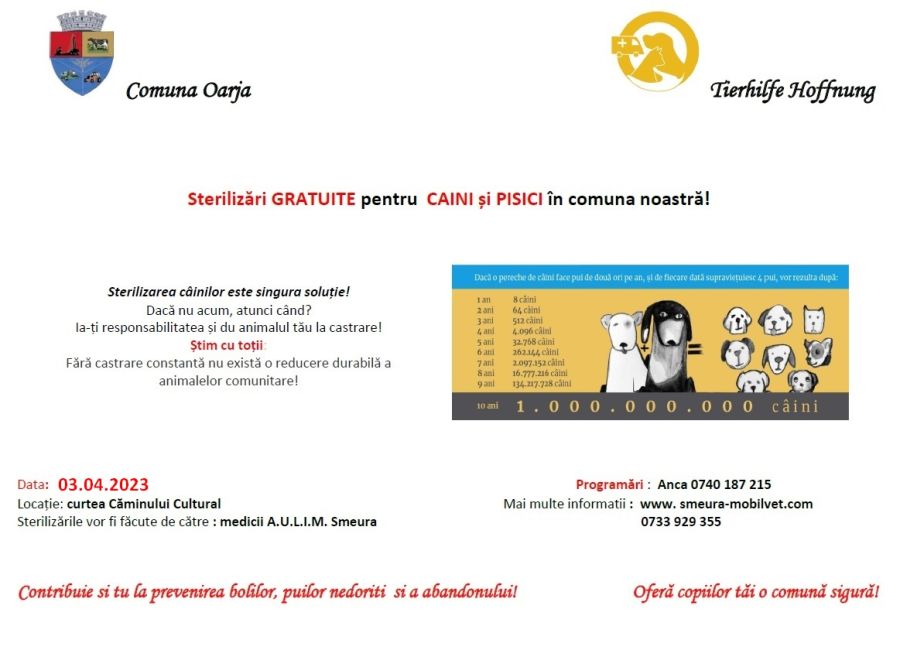 În comuna Oarja, campanie GRATUITĂ de sterilizare a câinilor şi pisicilor