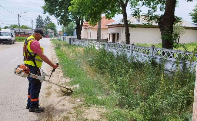 La Ștefănești sunt efectuate lucrări de salubrizare și întreținere a domeniului public