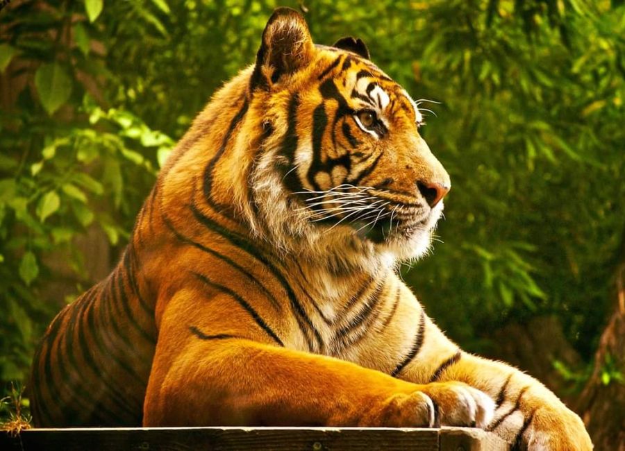 Grădină Zoologică Pitești este deschisă în perioada sărbătorilor pascale