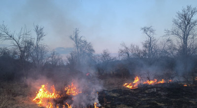 ACUM! Incendiu într-o GOSPODĂRIE din Argeș!