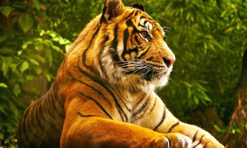 Grădină Zoologică Pitești este deschisă în perioada sărbătorilor pascale
