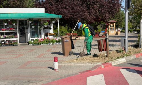 Echipele Servicii Edilitare pentru Comunitate Mioveni, ample acțiuni de ecologizare!